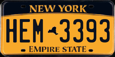 NY license plate HEM3393