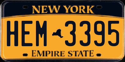 NY license plate HEM3395