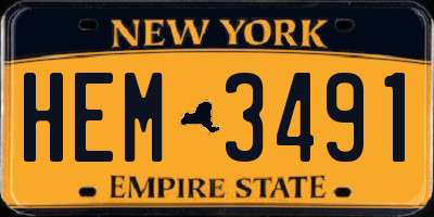 NY license plate HEM3491
