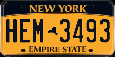 NY license plate HEM3493