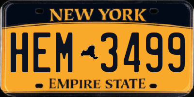NY license plate HEM3499