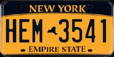 NY license plate HEM3541