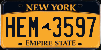 NY license plate HEM3597