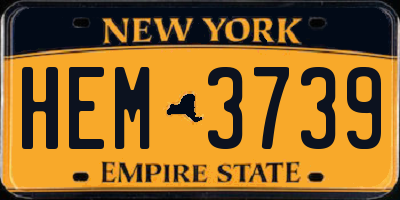 NY license plate HEM3739