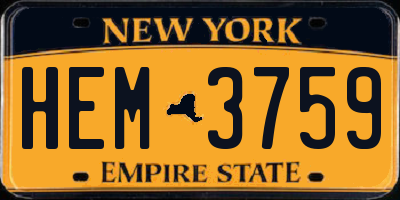 NY license plate HEM3759