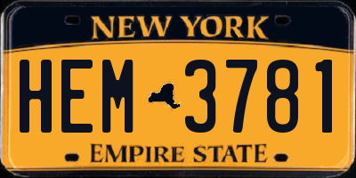 NY license plate HEM3781