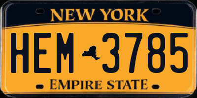 NY license plate HEM3785