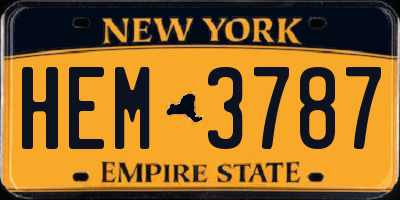 NY license plate HEM3787