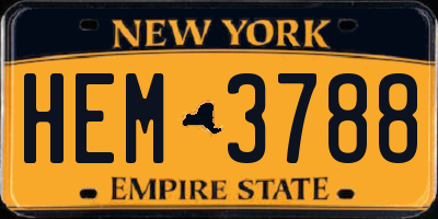 NY license plate HEM3788