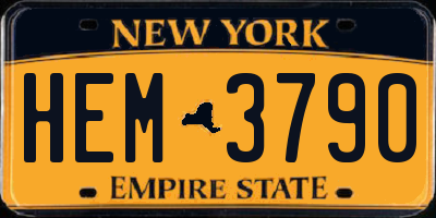 NY license plate HEM3790