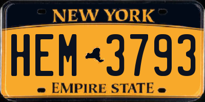 NY license plate HEM3793