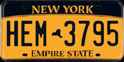 NY license plate HEM3795