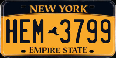 NY license plate HEM3799