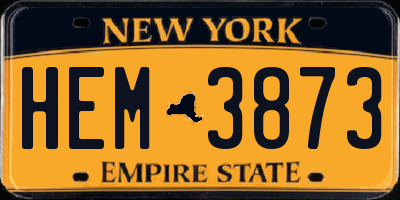 NY license plate HEM3873