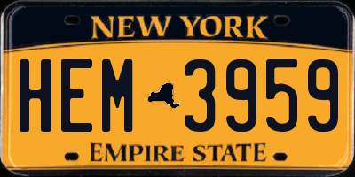 NY license plate HEM3959