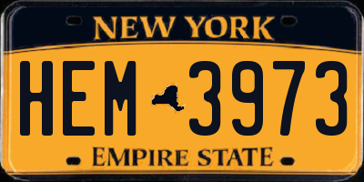 NY license plate HEM3973