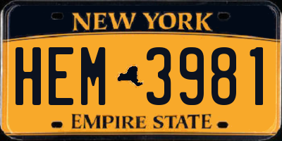 NY license plate HEM3981