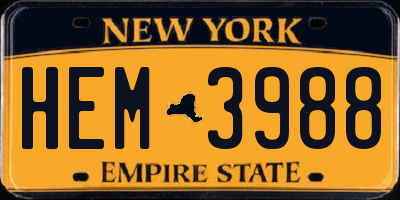 NY license plate HEM3988