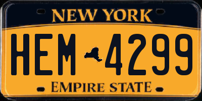 NY license plate HEM4299