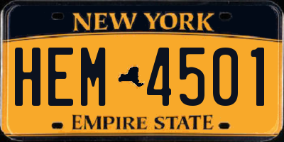 NY license plate HEM4501