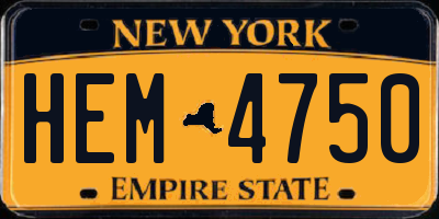 NY license plate HEM4750