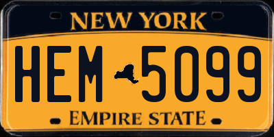 NY license plate HEM5099