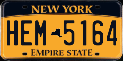 NY license plate HEM5164