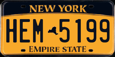 NY license plate HEM5199