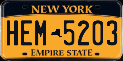 NY license plate HEM5203
