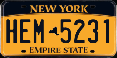 NY license plate HEM5231