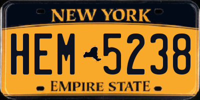 NY license plate HEM5238
