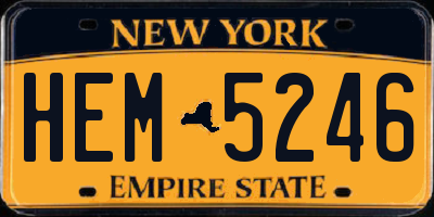 NY license plate HEM5246
