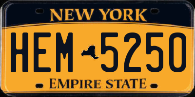 NY license plate HEM5250