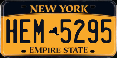 NY license plate HEM5295