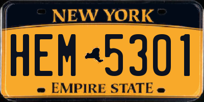 NY license plate HEM5301