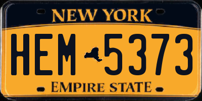 NY license plate HEM5373
