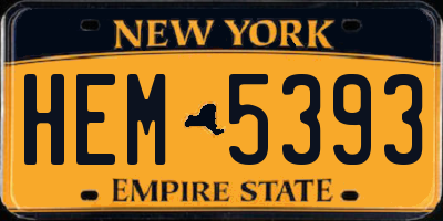 NY license plate HEM5393