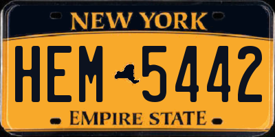 NY license plate HEM5442