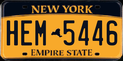 NY license plate HEM5446