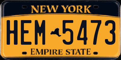 NY license plate HEM5473
