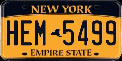 NY license plate HEM5499