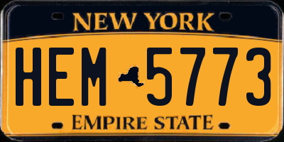 NY license plate HEM5773