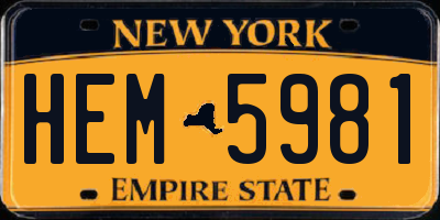 NY license plate HEM5981