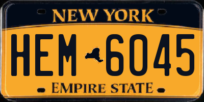 NY license plate HEM6045
