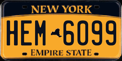 NY license plate HEM6099
