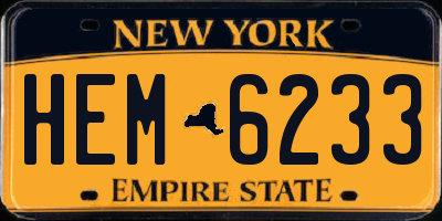 NY license plate HEM6233
