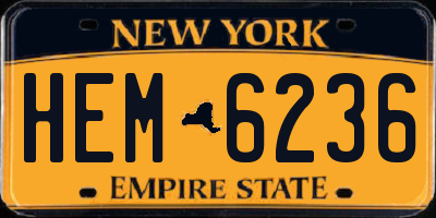 NY license plate HEM6236