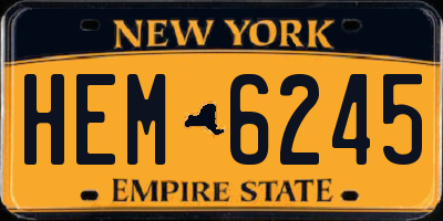 NY license plate HEM6245
