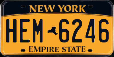 NY license plate HEM6246