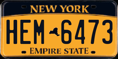NY license plate HEM6473